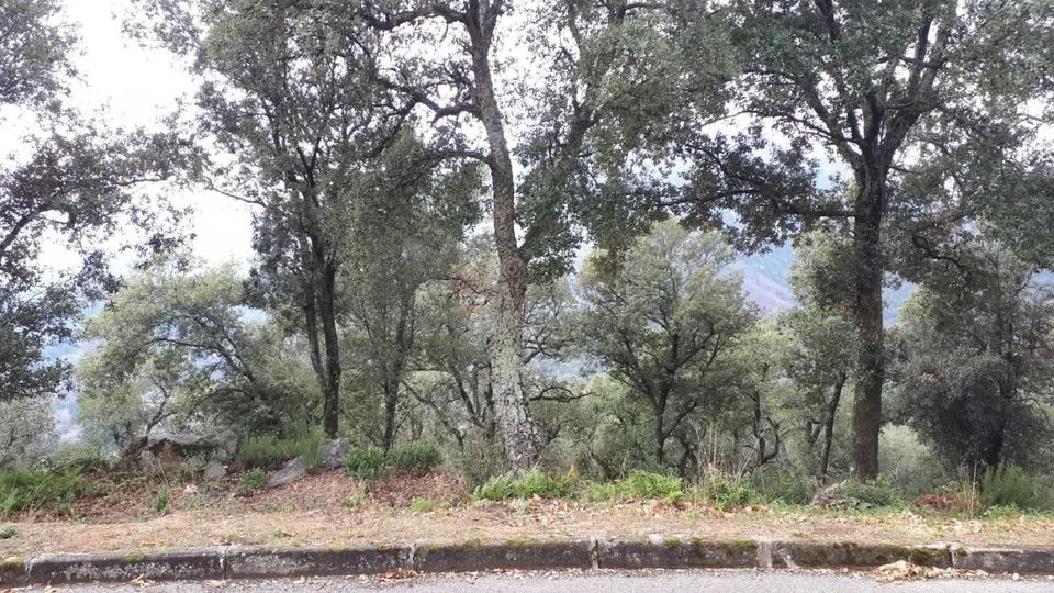 Terreno en venta Fogueres de Montsoriu