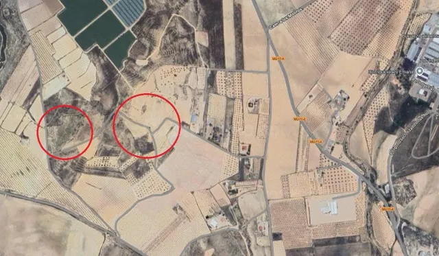 Finca rústica en venta - JUMILLA RURAL