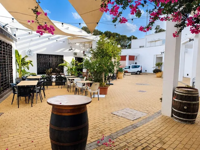 Local comercial en Venta en San Jose Almería — 4