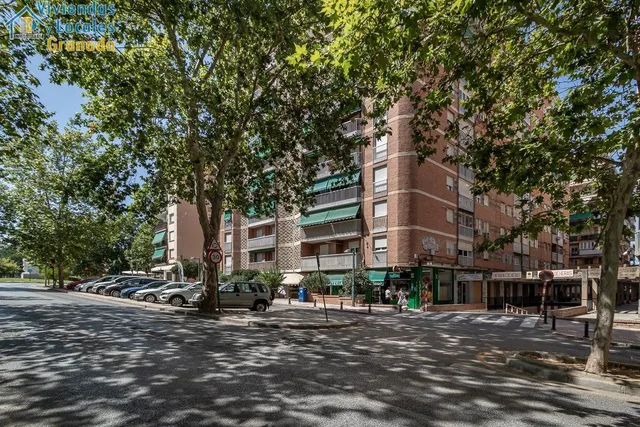 Calle Don Quijote — 8