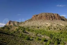 FINCA EN CANCARIX-HELLIN - foto 2