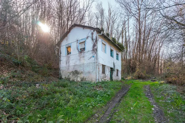 Oportunidad real: casa con parcela para rehabilitar en Tineo - foto 5
