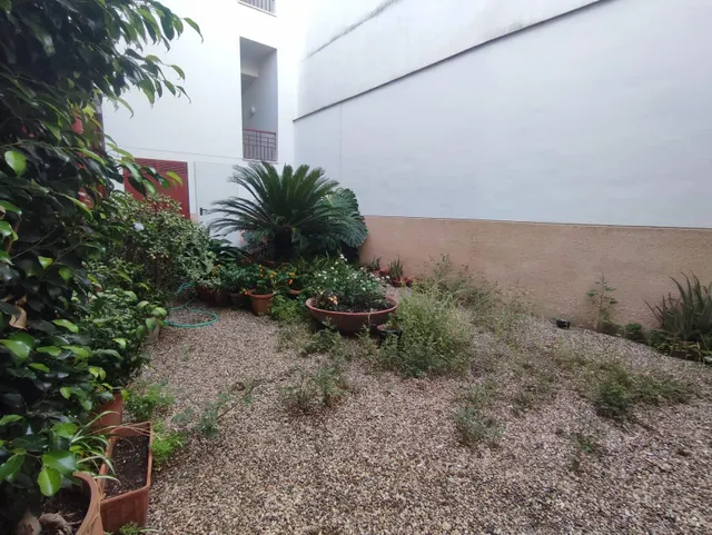 PRECIOSA VIVIENDA SEMINUEVA EN EL CASCO ANTIGUO. DOS DORMITORIOS CON BALCONADA!!!! — 18