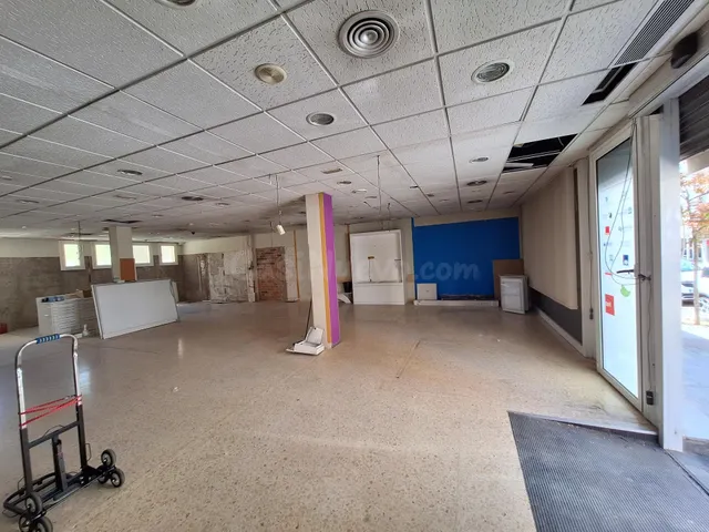 LOCAL COMERCIAL EN ZONA DE PAS - foto 2
