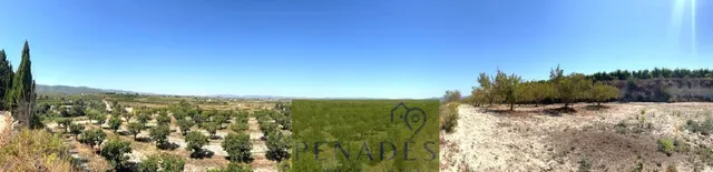 Espectacular Finca en Venta en Bèlgida — 21