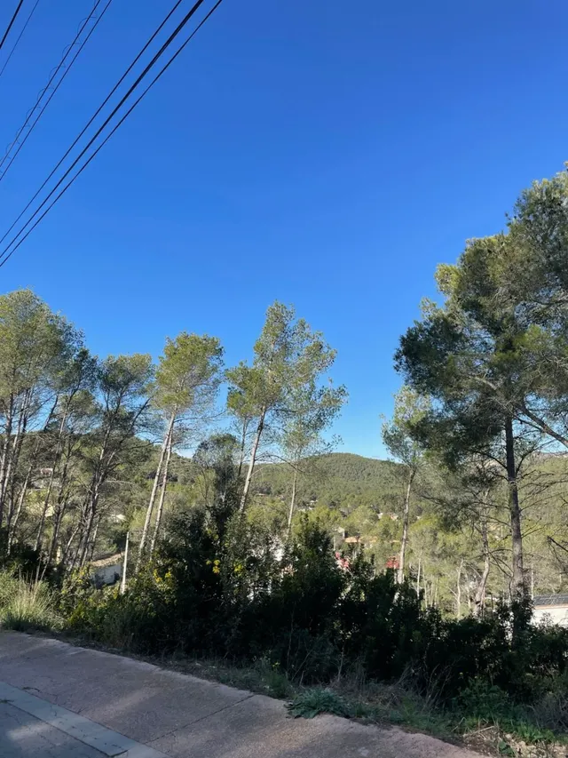 Olivella Mas Mestre parcela de 1200 m2 — 3