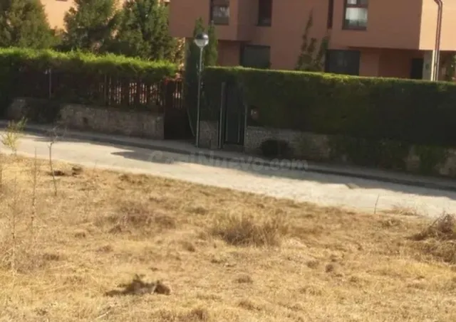 Parcela 250m² en venta - Covarrubias - foto 2