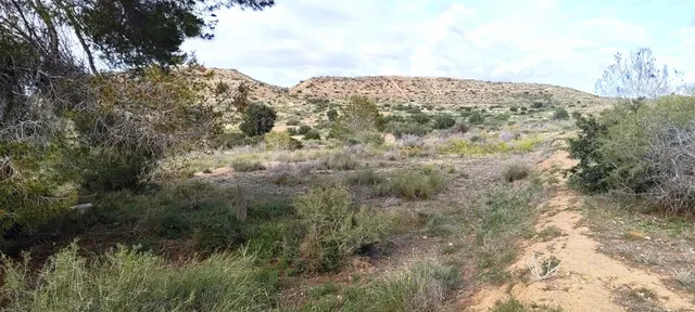 Terreno en La Galia-Bonavista - foto 5