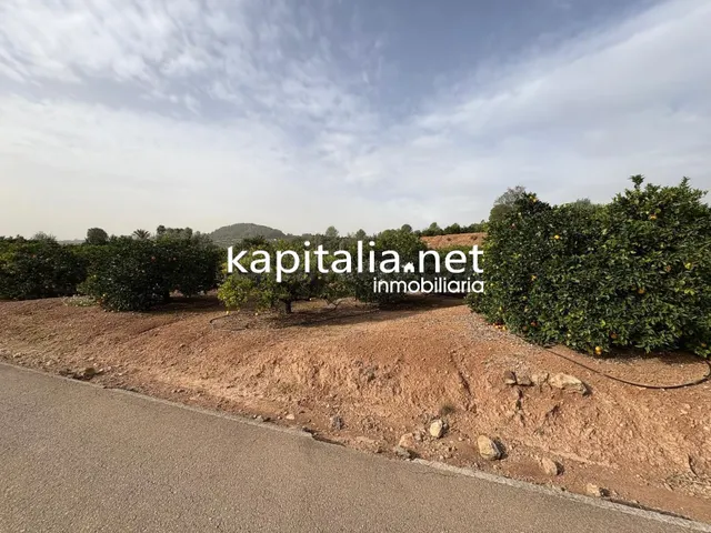 CAMPO DE NARANJOS A LA VENTA EN ROTGLA-CORBERA - foto 2