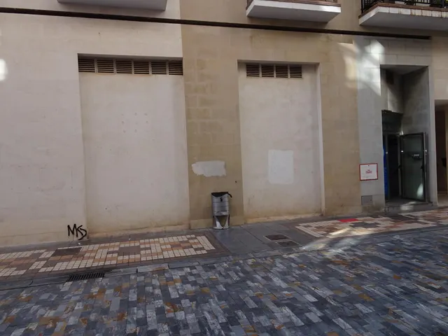 LOCAL COMERCIAL DE 945 M2 EN ZONA PEATONAL — 2