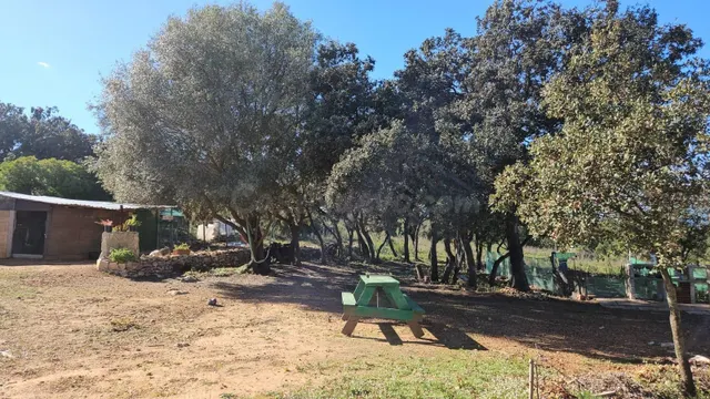 Terreno para recreo vallado y con acceso por camino asfaltad - foto 2