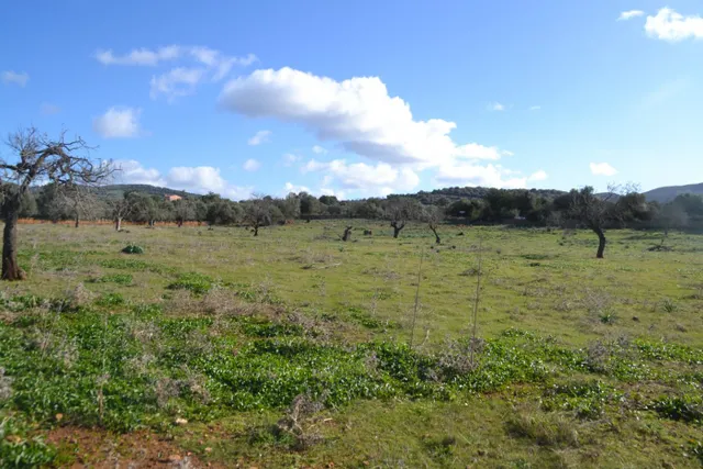 Finca rústica en Manacor — 14
