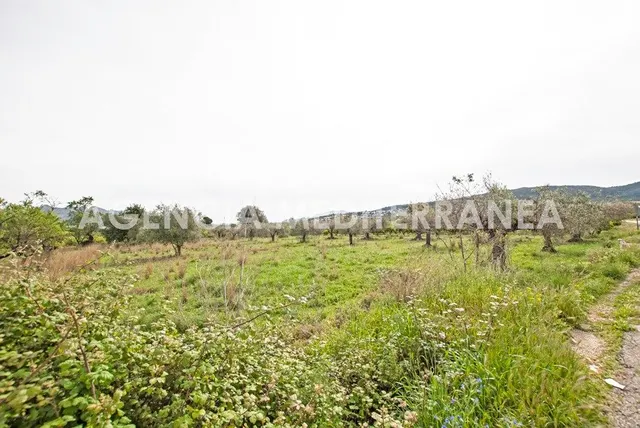 AMPLIA PARCELA URBANIZABLE PROXIMA ORBA CENTRO — 20