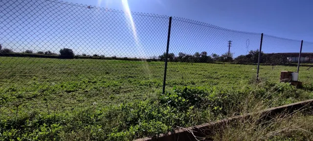 PARCELA RÚSTICA EN ALMENSILLA — 8