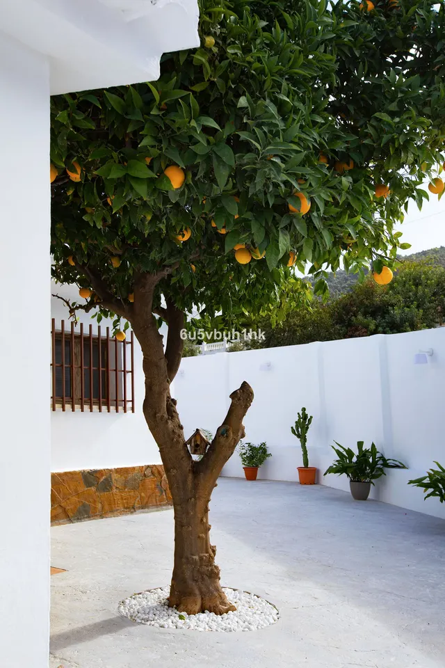 Adosado 3 habitaciones 155m² en venta - Costa Del Sol — 48