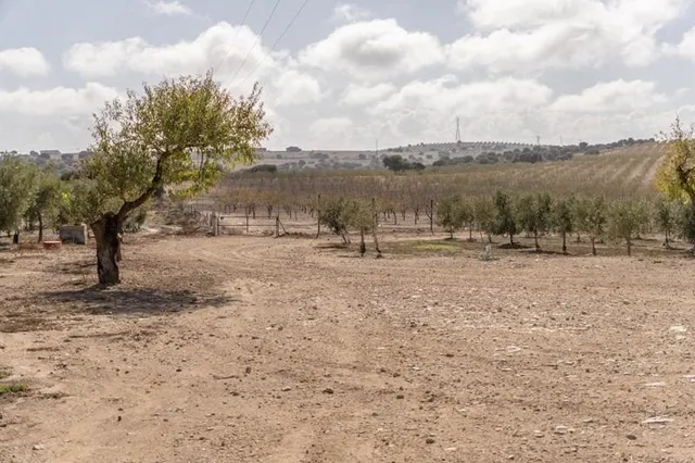 IMPRESIONANTE OPORTUNIDAD DE INVERSIÓN EN ALAMEDILLA!! — 25