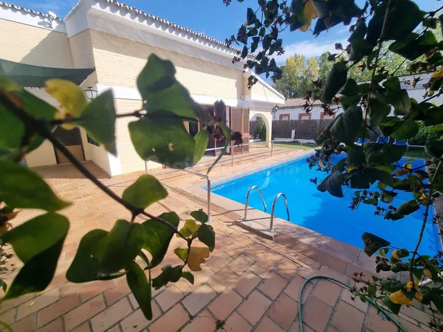 Chalet 4 habitaciones 307m² en venta - Cortes de la frontera - foto 3