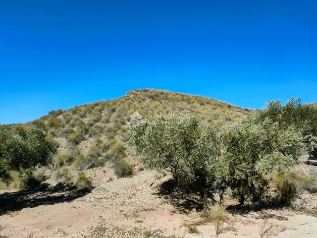 SE VENDE PARCELAMUY CERCA DEL PUEBLO DE MACISVENDA — 2