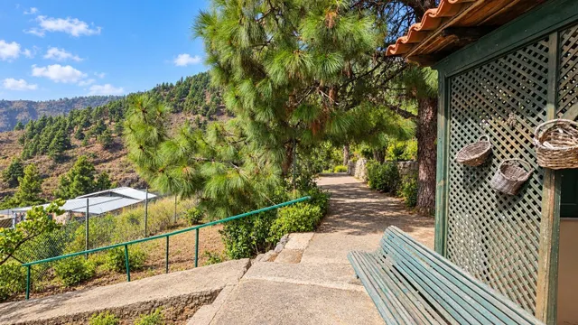 FINCA CON ENCANTO Y VIVIENDA EN IGUESTE DE CANDELARIA: NATUR - foto 2