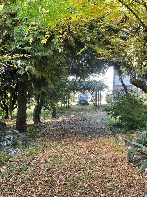 CASA SEÑORIAL DE 1807 CON FINCA DE 6.500M2. PERFECTA CASA RURAL — 46