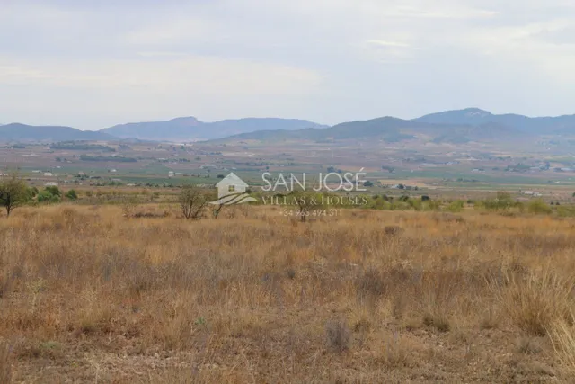 VENTA DE TERRENO EN JUMILLA — 4