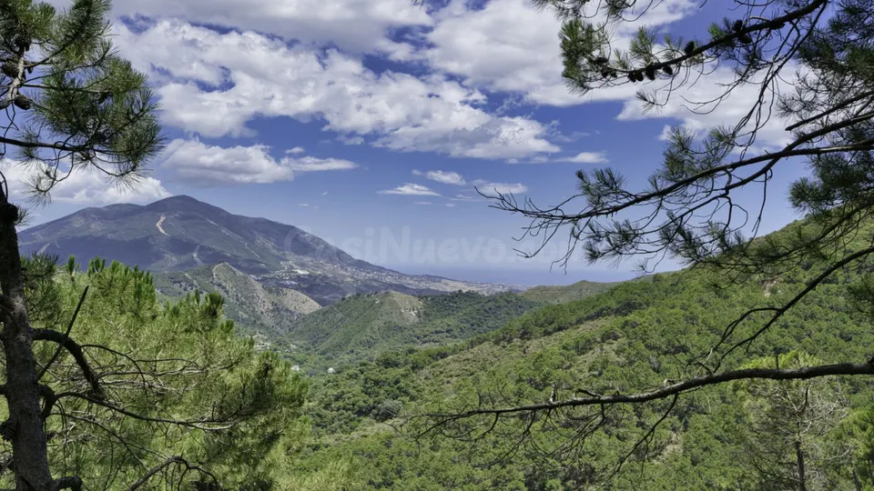 Parcela en venta - South of spain