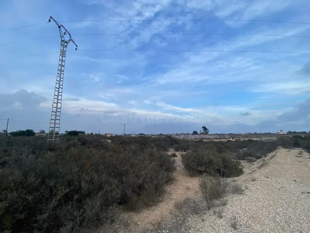 Amplia Parcela en Elche - Zona Matola con Vistas Despejadas - foto 2