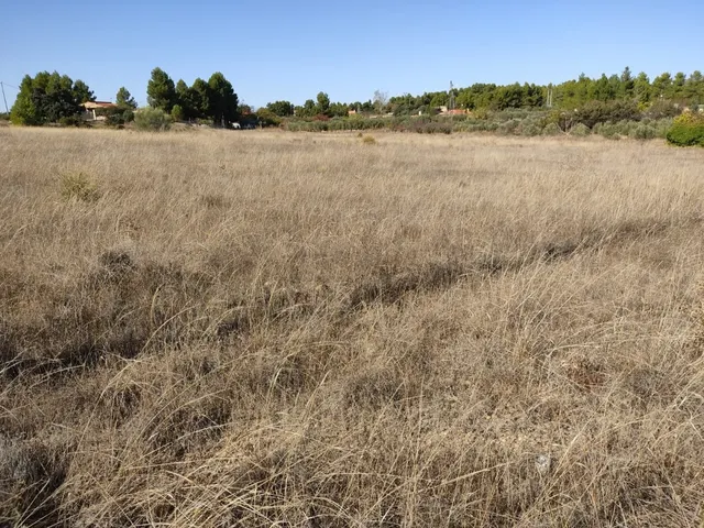 EXCELENTE PARCELA EN PARAJE LOS ESPETONES - DISPONE DE POZO — 3