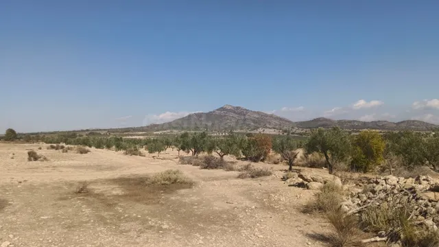 Parcela en venta - Comunidad valenciana - foto 4