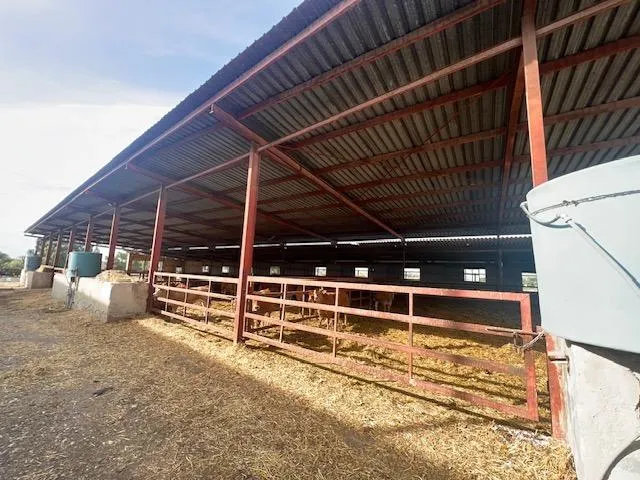 SE VENDE EXPLOATACIÓN GANADERA¡ - foto 3