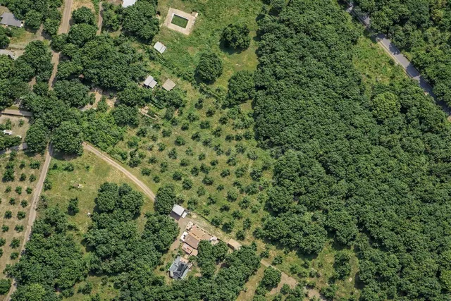 En venta maravillosa finca Rustica de Olivos