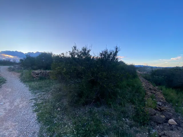 Encantador terreno con agua y luz de 1,2 ha — 16