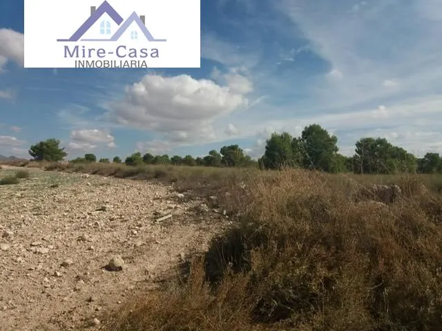 Se vende parcela en zona casa carrillo en tobarra — 8
