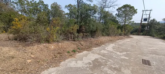 GRAN TERRENO EDIFICABLE ENTRE CAMPINS Y GUALBA RODEADA DE NA - foto 4
