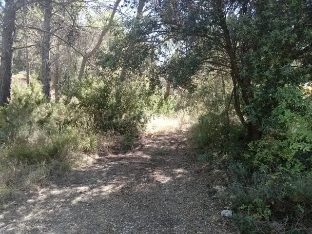 Tegeisa vende Parcela semillana de 741m2 - foto 2
