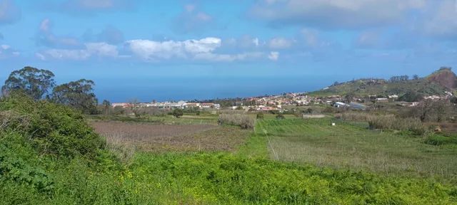 VIÑEDO EN TACORONTE — 10