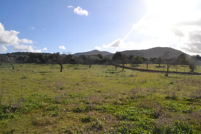 Finca rústica Manacor — 12