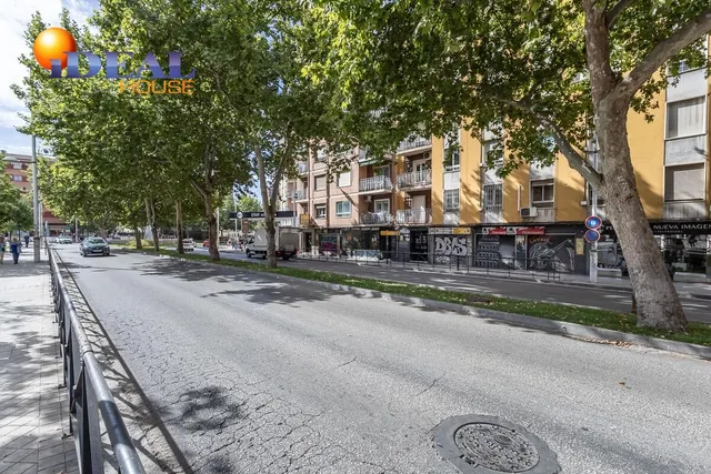 Local de 247 m2 en avenida de madrid – Granada capital — 17