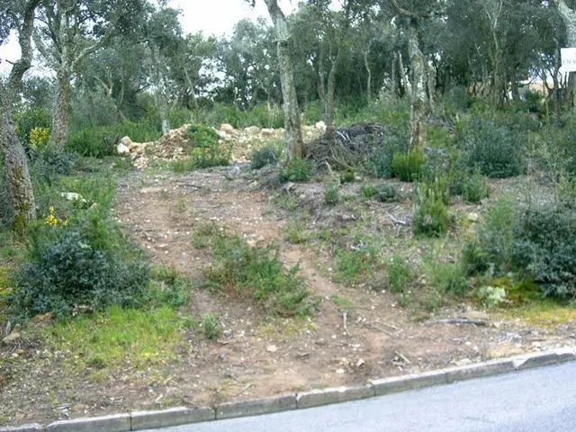 Parcela urbanizable en la Urbanización Mas Nou de Platja d'A - foto 2