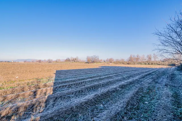Excelente finca de regadío en la Vega de Granada, con acceso directo — 13