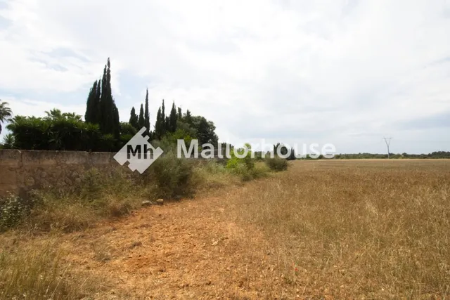 Finca rústica 210m² en venta - Centro - foto 3