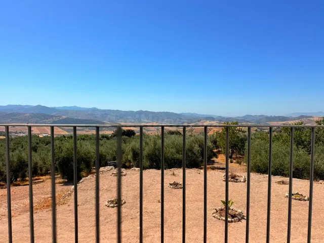 Casa de campo de obra nueva con 140 olivos en producción, do - foto 2