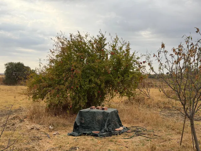 ¡Ocasión en Trigueros! Finca rústica totalmente legalizada con excelente acceso y gran tranquilidad — 12