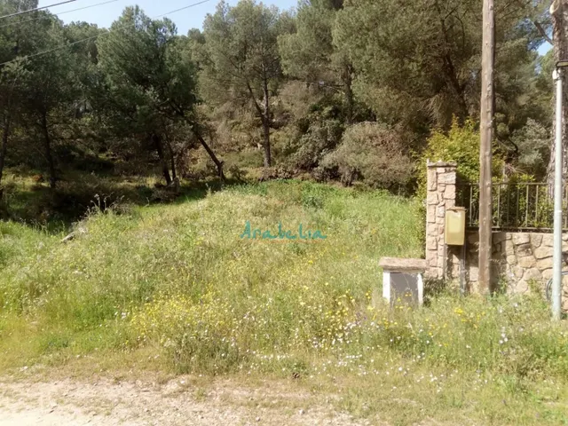 PARCELA URBANIZACIÓN JARAS - foto 3