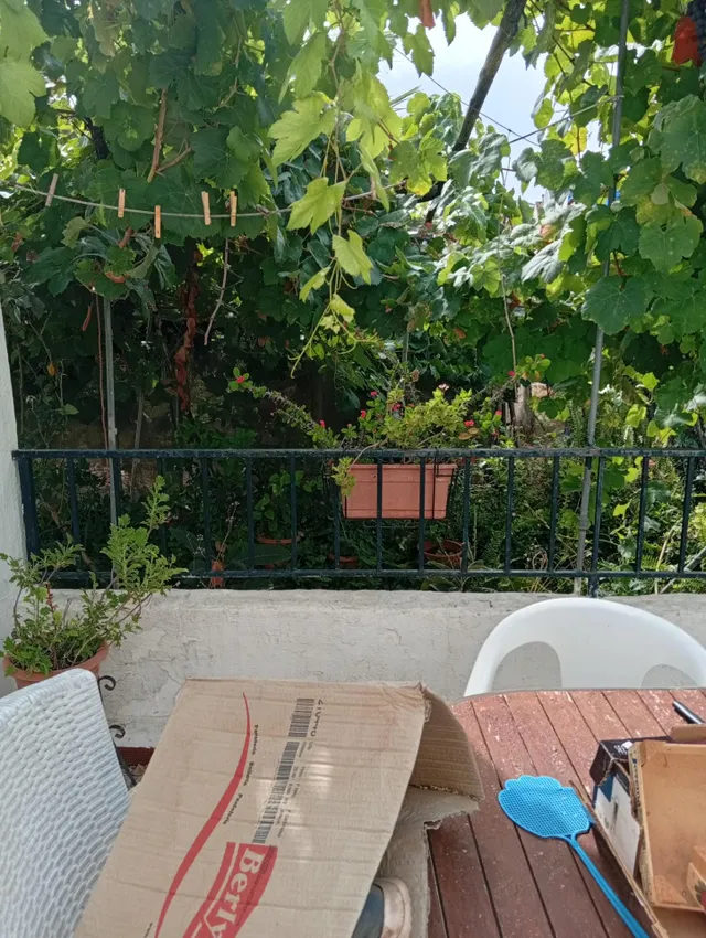 ¡Gran oportunidad en La Villa! Solar urbano de 1600 m2 en Ayamonte — 35