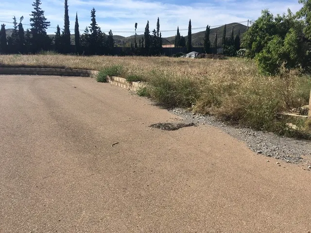 PARCELA BUENA SITUACIÓN EN PUERTO LUMBRERAS — 17