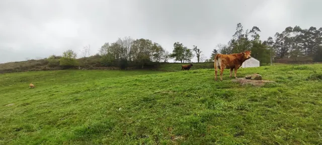 FINCA RÚSTICA CON CABAÑA Y VISTAS PANORÁMICAS EN LUENA.- — 10