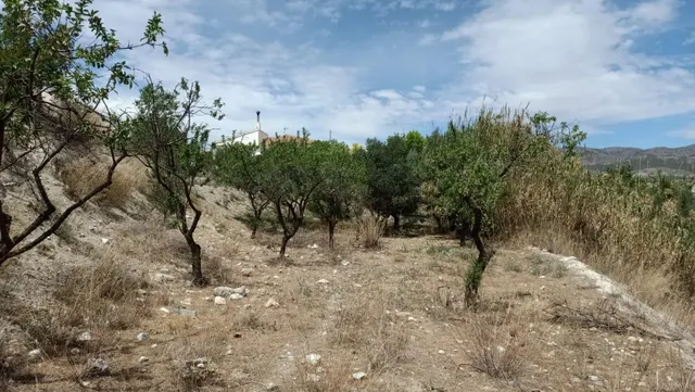 LÚCAR ( ALMERÍA ), TERRENO URBANO CON AGUA . — 2