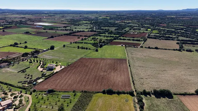 Finca rústica en Manacor con proyecto de ejecución — 20