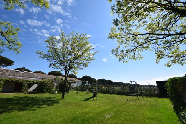 Gran finca con vivienda y merendero en Puente Duero — 12